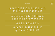 Millie June: A Hand-Drawn Font, a Handwritten Font by Pace Creative Design (Thumbnail 2 of 11)