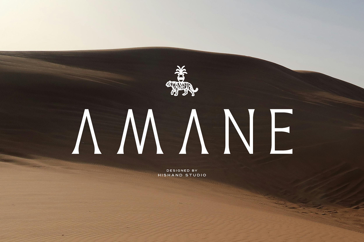 AMANE Serif Font, a Serif Font by Hishand Studio (Photo 1 of 10)