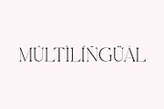 Asfire – Elegant Ligature Serif Font, a Serif Font by Issam Type (Thumbnail 8 of 12)