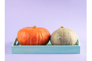 Colorful pumpkins on purple, a Food & Drink Photo by Lifemorning