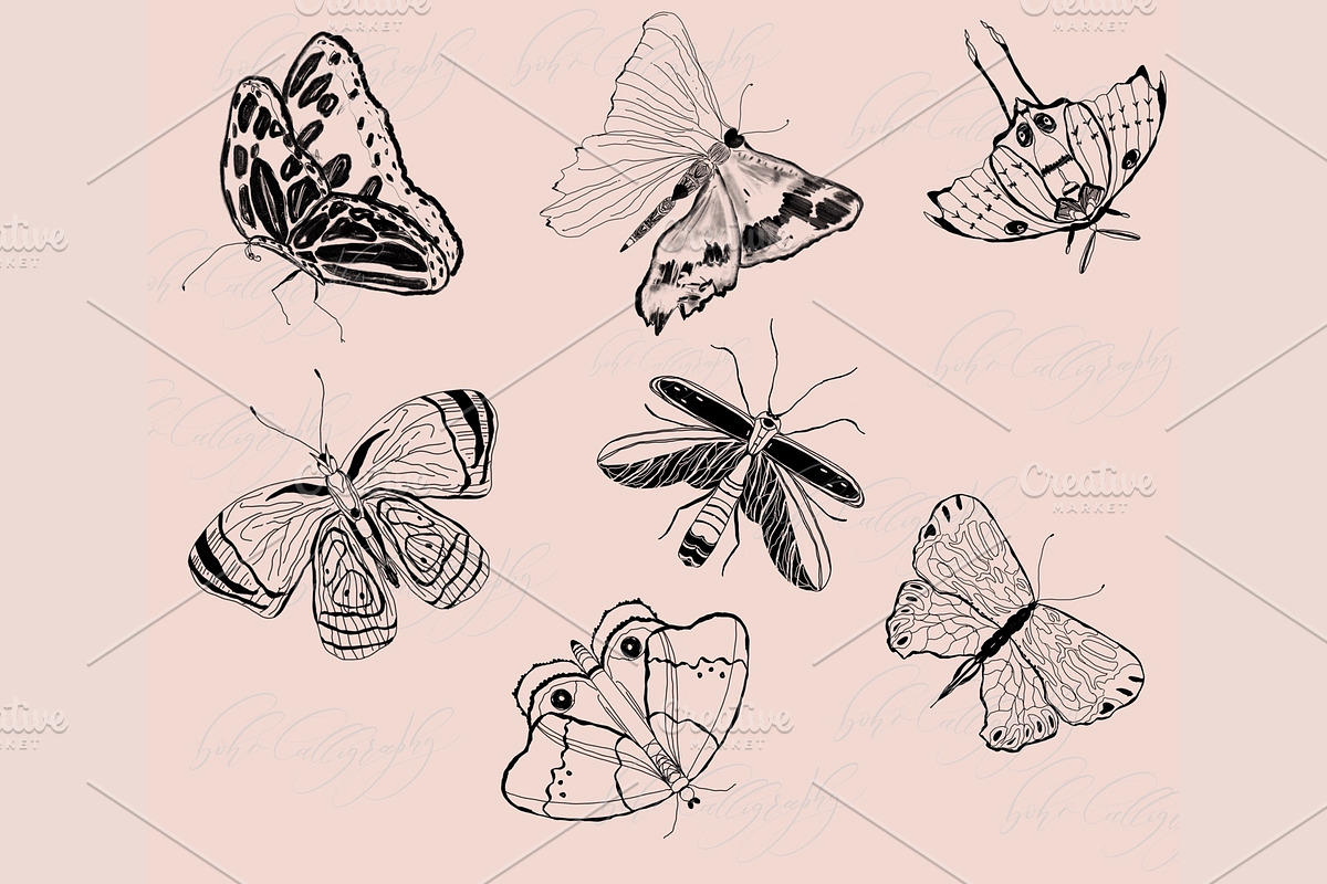 Butterflies and Bugs Procreate Stamp, a Brush Add-On by BohoCalligraphy (Photo 3 of 3)