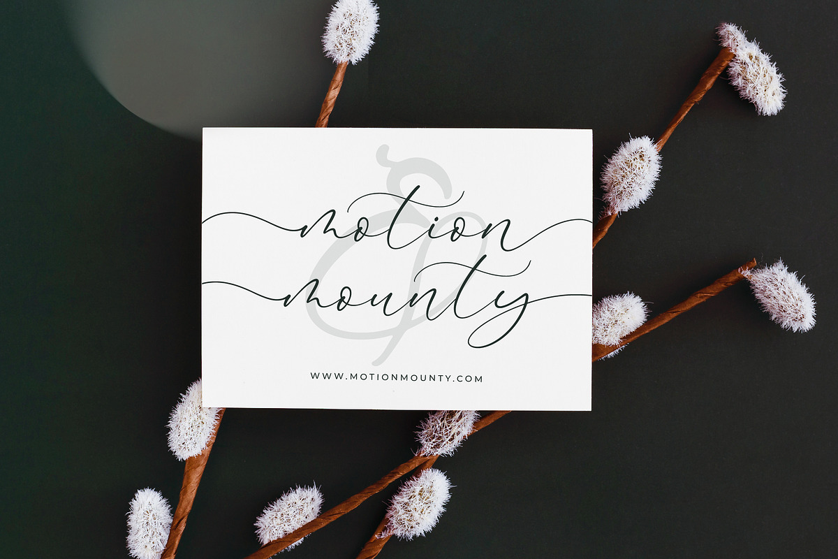 Adventur Kintent Stylish Calligraphy, a Script Font by stylishtype.co (Photo 3 of 20)