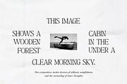 Baskerville Display Pro, a Serif Font by Positive TypeFoundry (Thumbnail 23 of 23)