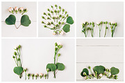 Creative floral flat lays bundle, a Print Template by Kolomiyets Viktoriya (Thumbnail 2 of 5)