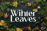Misty Morning, a Serif Font by Funtype (Thumbnail 6 of 15)