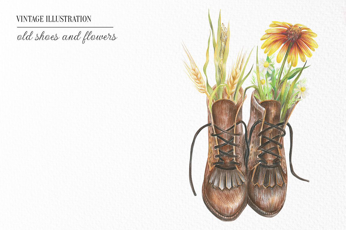 Prairie aesthetics. 52 items, an Animal Illustration by Art by Lady Natali (Photo 4 of 13)