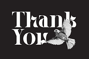 Hegarown Display Serif Font, a Serif Font by Randi Irvan | Rvandtype (Thumbnail 16 of 16)