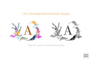 100+ Botanical Procreate Brush Stamp, a Brush Add-On by CC CREATIVE CO (Thumbnail 10 of 16)