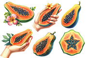 Watercolor Papaya Fruit Clipart, an Illustration by Designworld (Thumbnail 4 of 6)