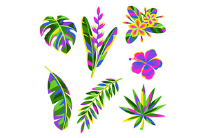 Set Of Tropical Flowers And Palm