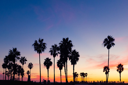 Sunset in venice beach stock photo containing venice beach and california