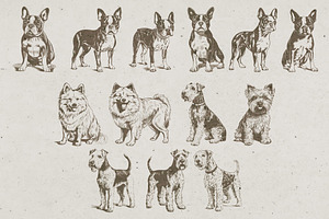 215 Dog Illustrations