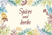 Vintage Spices and Herbs Design Kit, a Food Illustration by Artspace (Thumbnail 6 of 8)