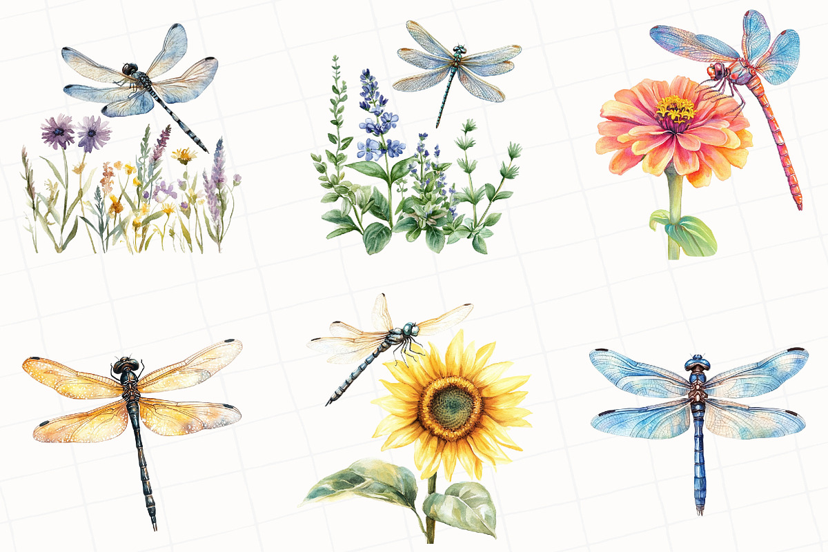 Summer Dragonfly Garden Clipart, an Illustration by OK Design (Photo 5 of 5)