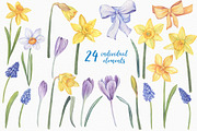 Watercolor Daffodils, an Illustration by Irina Diasli (Thumbnail 2 of 6)