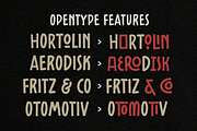 Labroses Quirky Typeface, a Sans Serif Font by Martype (Thumbnail 8 of 11)