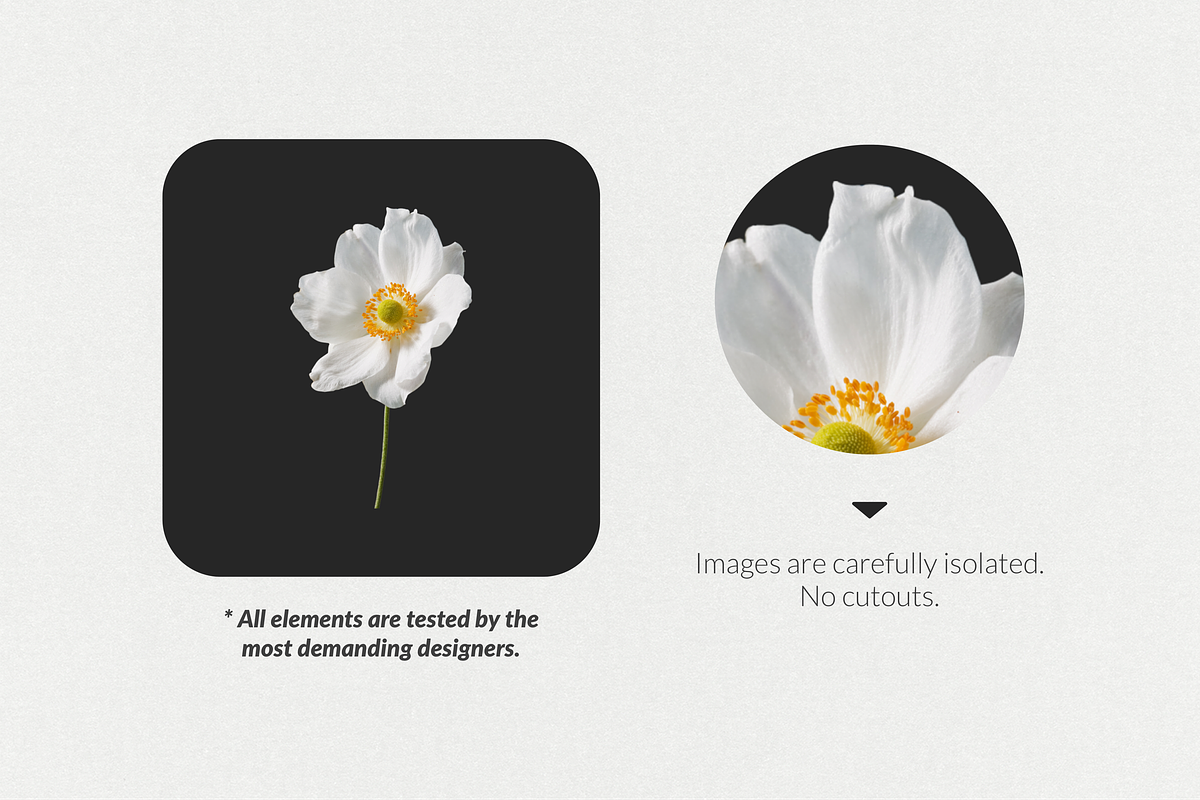 250+ Elements - Collage Creator Pack, an Object Graphic by Digi Life (Photo 6 of 32)