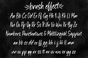 brush effect, a Script Font by N (Thumbnail 9 of 10)
