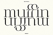 TAN - PARFAIT, a Serif Font by TanType (Thumbnail 3 of 21)