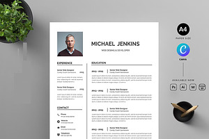 Clean Resume CV
