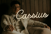 Mastin Calum | Monoline Script Font, a Script Font by gracetype_studio (Thumbnail 4 of 12)