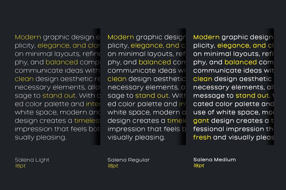 Salena – Minimalist Sans, a Sans Serif Font by Typebae (Photo 9 of 12)