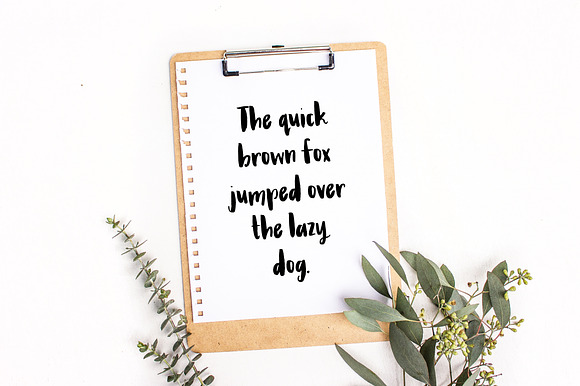 Ladonna Brush Font preview 6