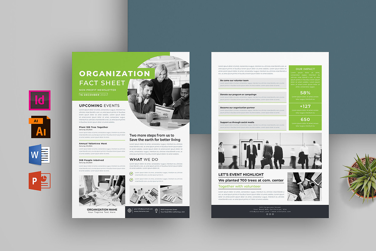 Nonprofit Organization Fact Sheet, a Flyer Template by obayes (Photo 1 of 4)