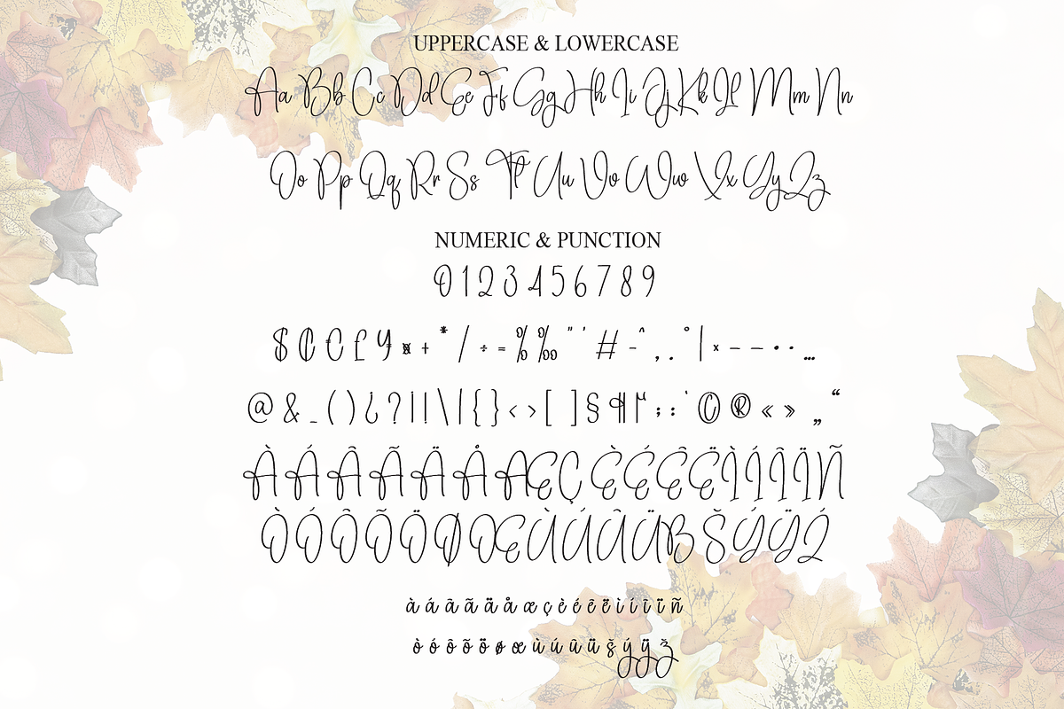 Autumn Signature | Script Font, a Handwritten Font by Scratchones (Photo 7 of 8)