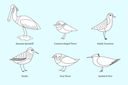 European Coastal Birds, an Illustration by Goodputty (Thumbnail 2 of 4)