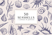 Sea Shells Collection, a Food Illustration by Aquatinta (Thumbnail 1 of 9)