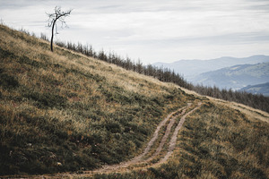Telephoto mountain path landscape, a Nature Photo by SkyNext