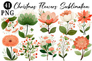 Christmas Flowers Sublimation, an Illustration by Daily.Designs (Thumbnail 1 of 5)