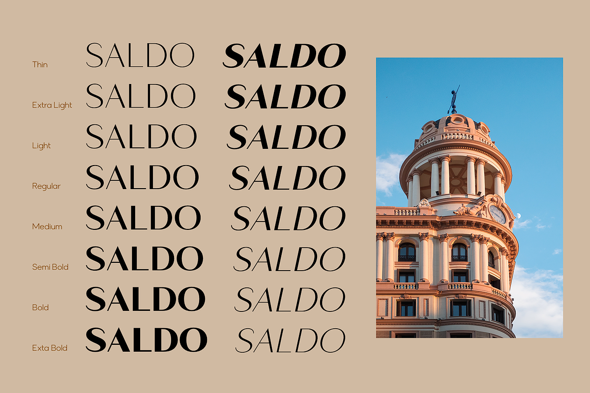 Saldo | Font Family, a Sans Serif Font by Larin Type Co. (Photo 3 of 15)
