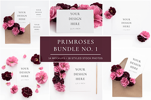 The Primroses Bundle No. 1
