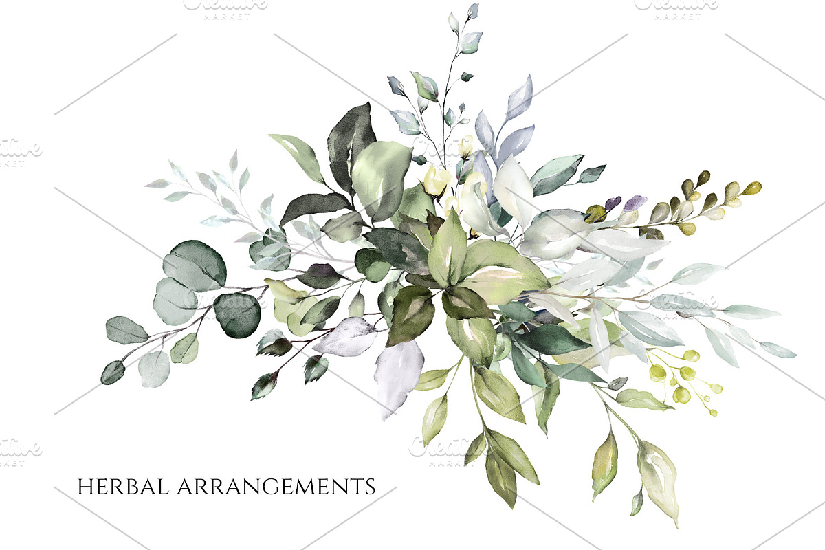 Herbal Watercolor collection, a Work Illustration by Lisima (Photo 7 of 14)