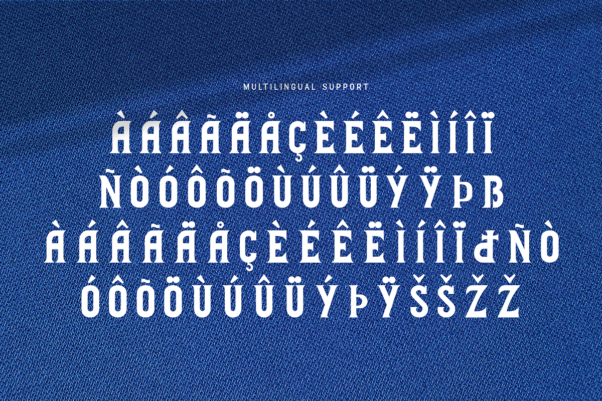 Brighton - Embroidery Serif BX Font, a Serif Font by overlaytemplates (Photo 5 of 5)