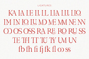 Role Model | Contemporary Serif, a Serif Font by Ef Studio (Thumbnail 11 of 13)
