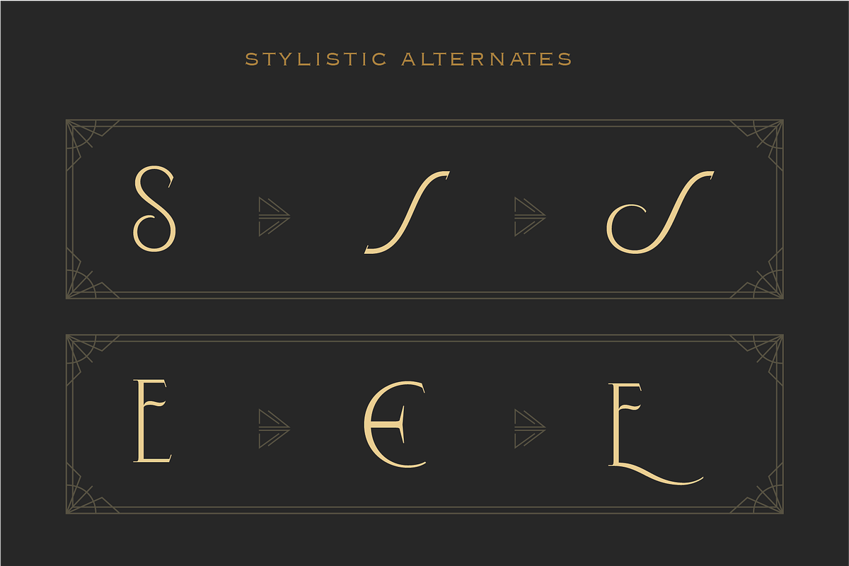 WT Bellochero, a Font by Winston Type Co. (Photo 10 of 11)