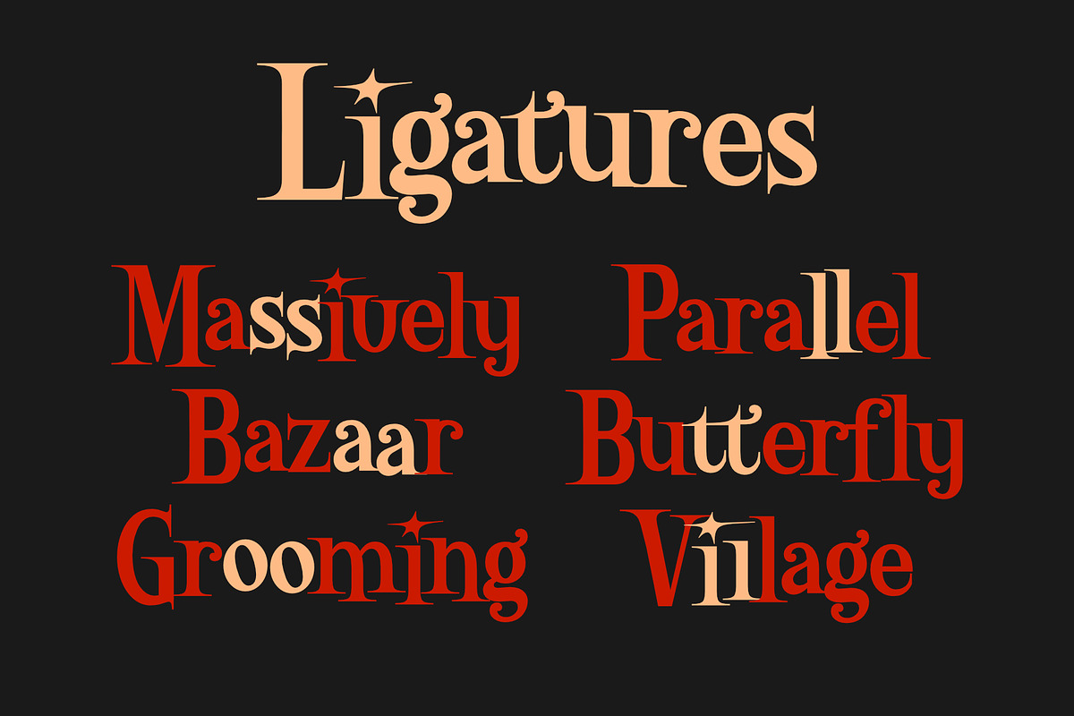 Billion Collars - Playful Serif, a Serif Font by Variatype (Photo 8 of 8)