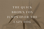 Quainy Modern Serif Font, a Serif Font by Dylla_studio (Thumbnail 10 of 12)