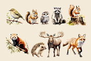 Watercolor Woodland Animals Clipart, an Animal Illustration by Primrose Blume (Thumbnail 5 of 8)