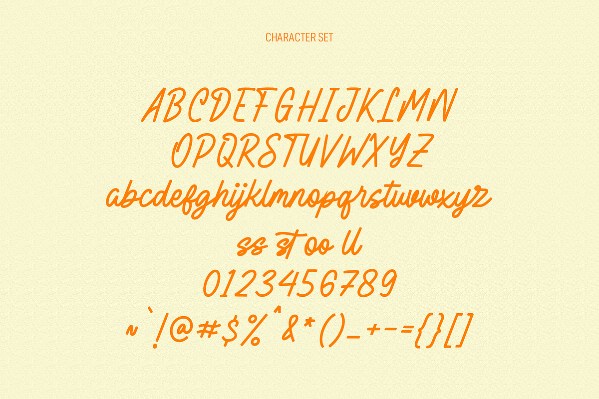 Slashty Handwritten Script Signature, a Script Font by Maulana Creative (Photo 6 of 10)