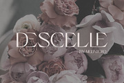 Greyst - Exotic Modern font, a Serif Font by creativemedialab (Thumbnail 6 of 9)
