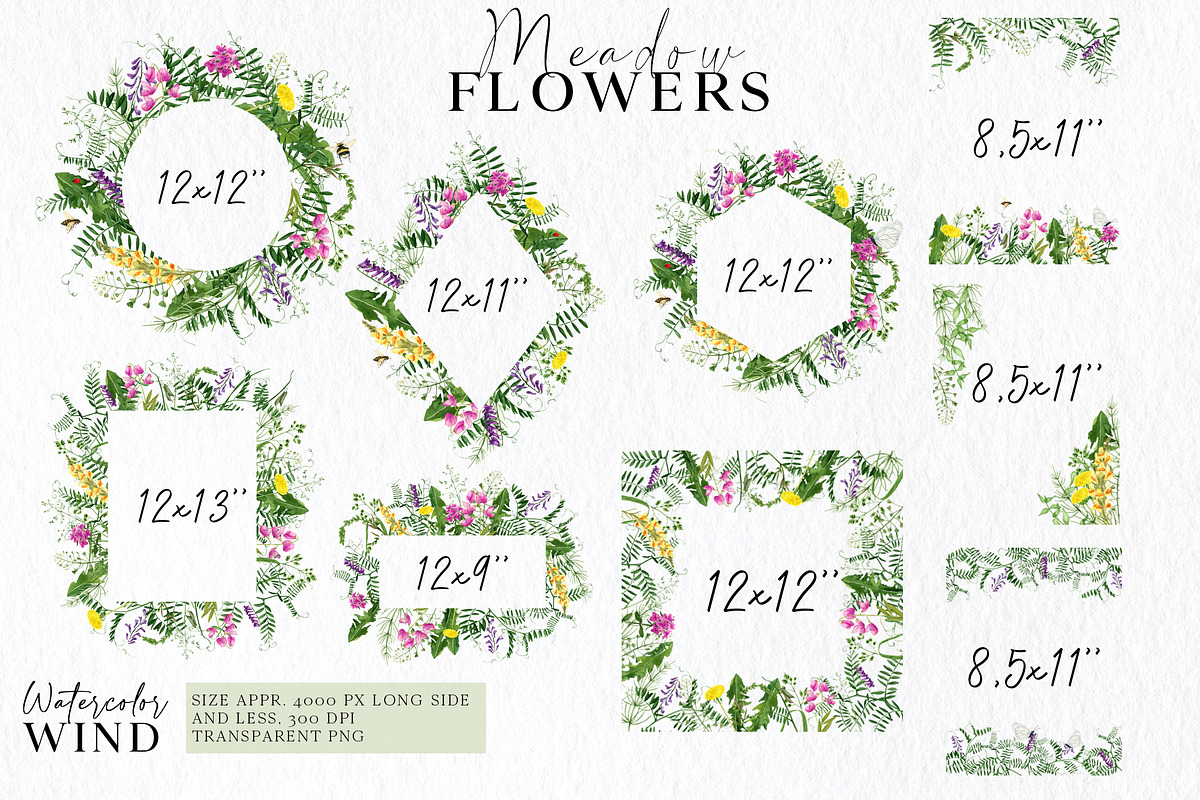 Wild floral clipart meadow flowers, an Illustration by Ksenia Shmakova (Photo 5 of 11)