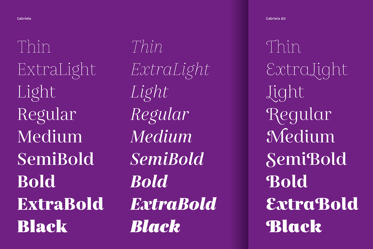 Gabriela, a Serif Font by Lechuga Type (Photo 3 of 17)