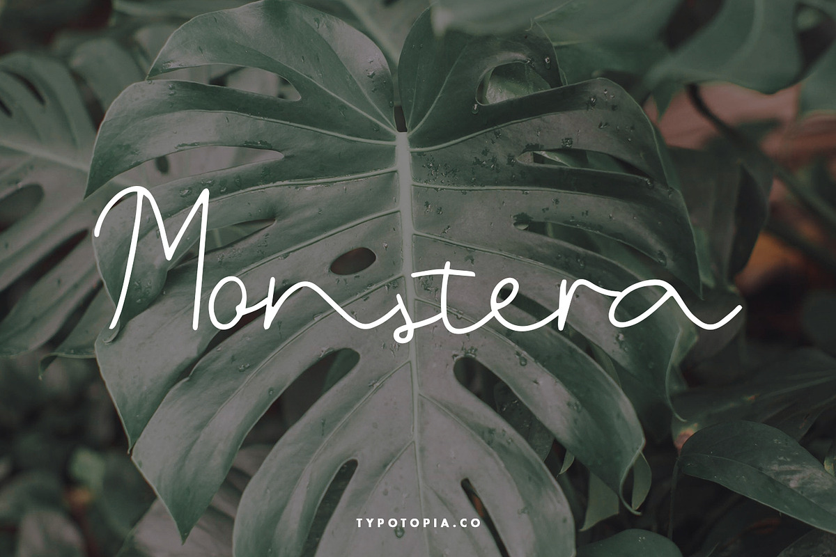 Belgia Handwritten Font preview 2