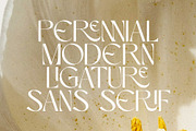 Perennial - Elegant & Ligature Sans, a Sans Serif Font by Mikhail Kitsune (Thumbnail 2 of 9)