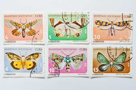Collection of postage stamps containing stamp, collection, and postcard, an Arts & Entertainment Photo by AS photostudio