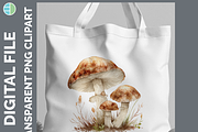 Mushroom Illustration Bundle, 35 PNG, a Decorative Illustration by Enliven Designs (Thumbnail 3 of 8)